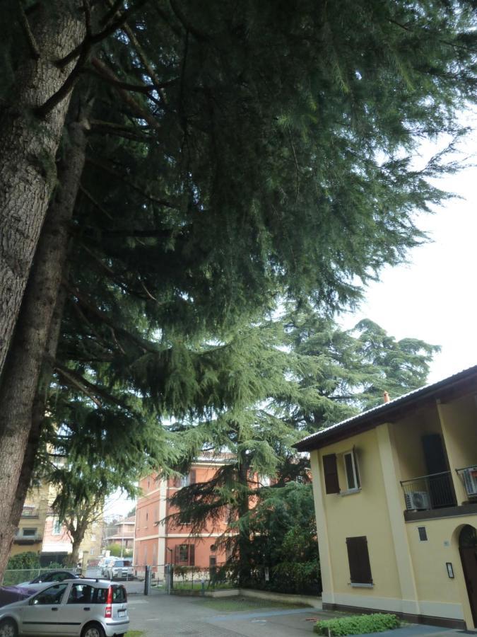 Apartamento Il Giardinetto - Smart Working - Airport - Private Parking - Private Garden - Ducati - Philip Morris Bolonia Exterior foto